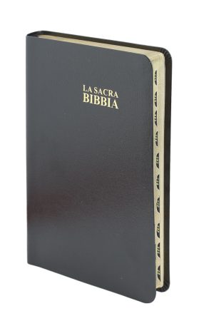 9533-bibbianera